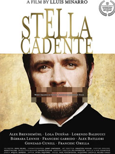 Stella cadente