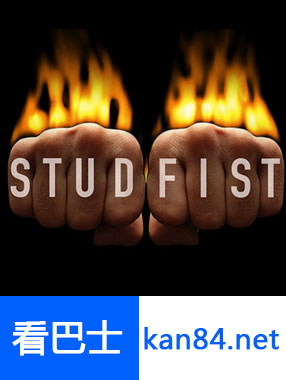 STUDFISTȭϵ